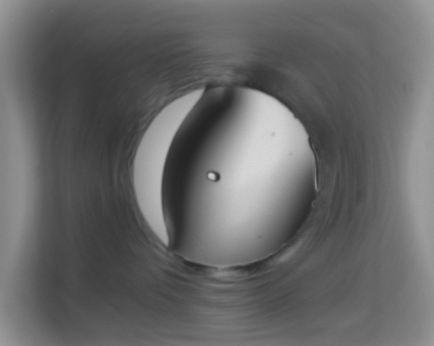 X0000113980336200910091323