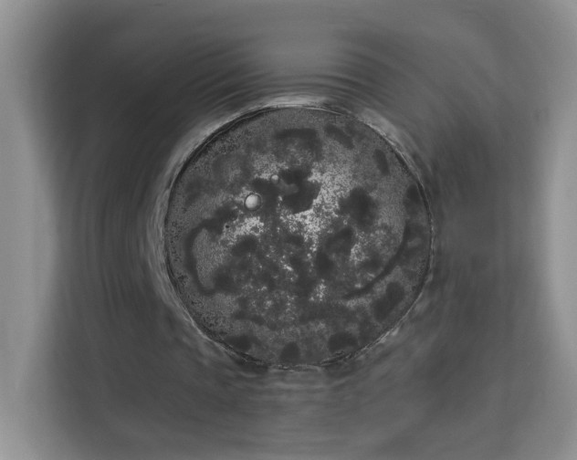 X0000113980337200910091322