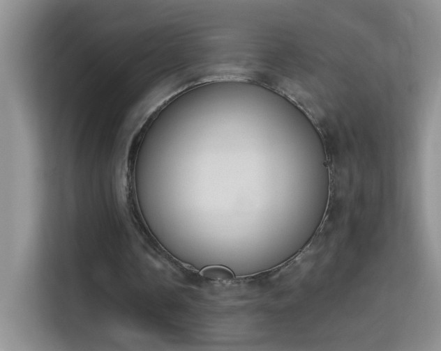 X0000113980338200910091322