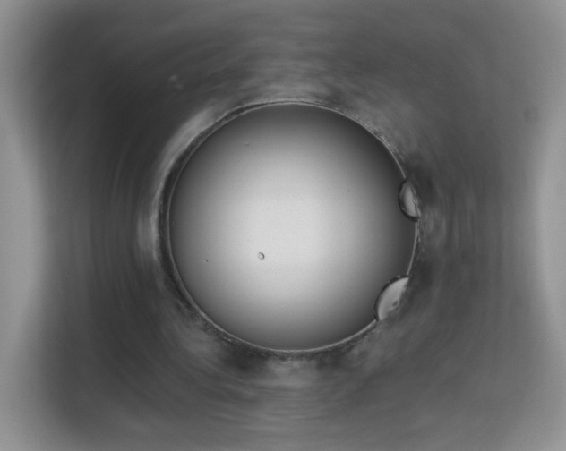 X0000113980340200910091322