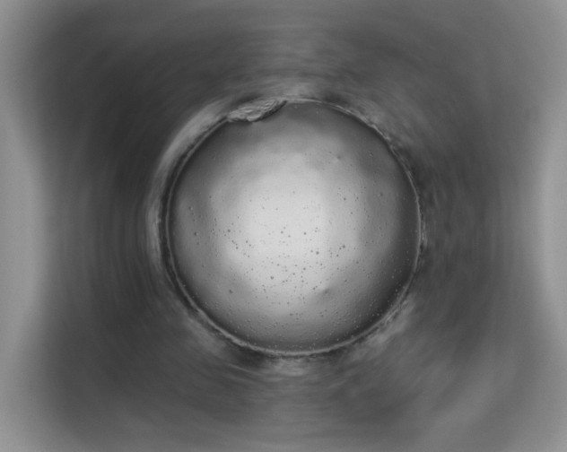 X0000113980341200910091322