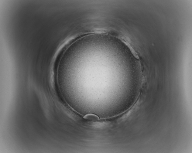 X0000113980342200910091322