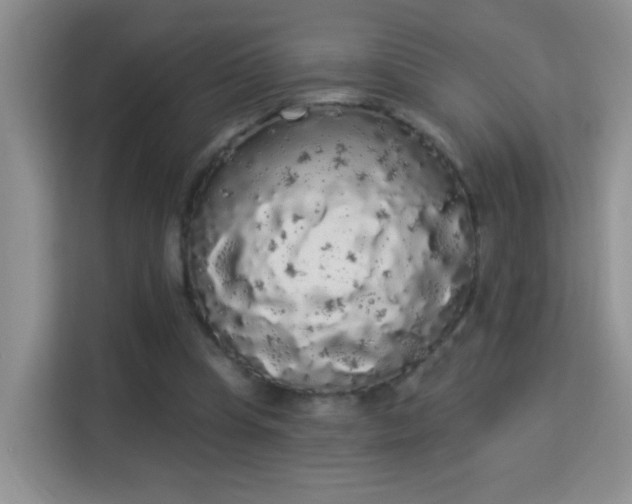 X0000113980345200910091322