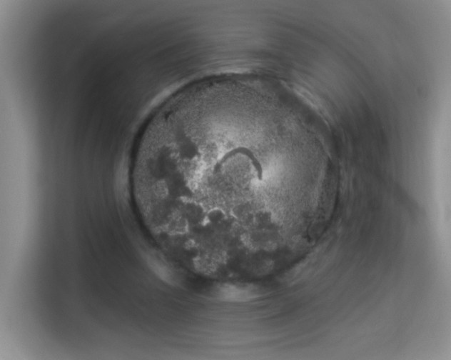 X0000113980346200910091322