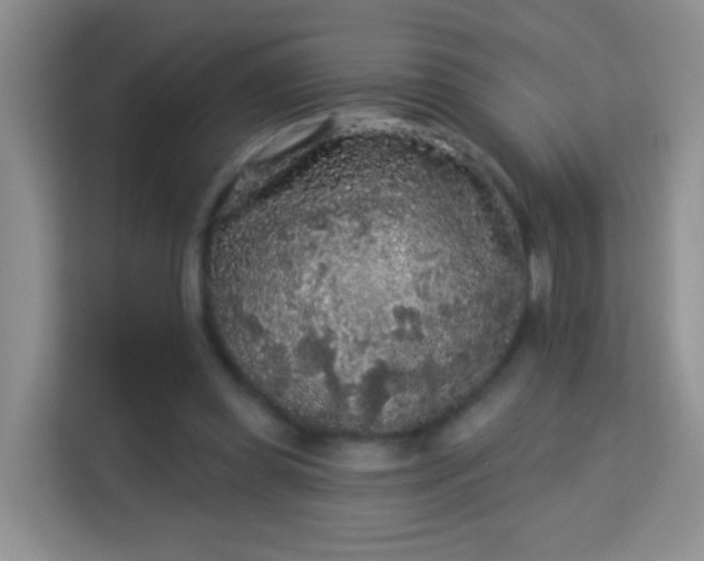 X0000113980349200910091322