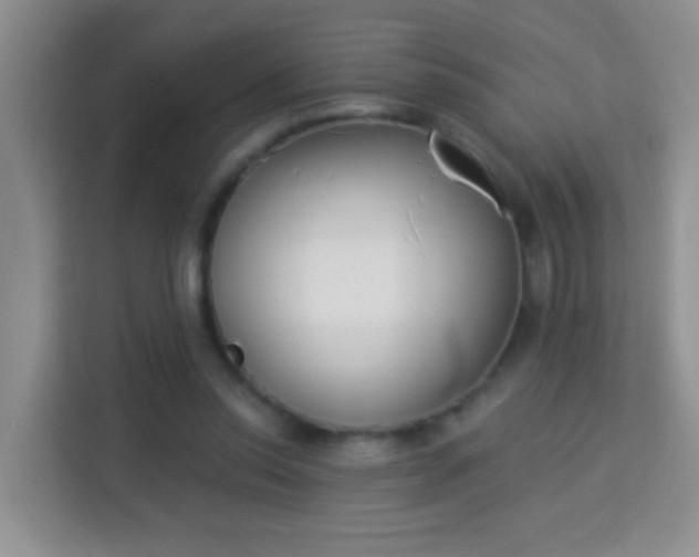 X0000113980350200910091322