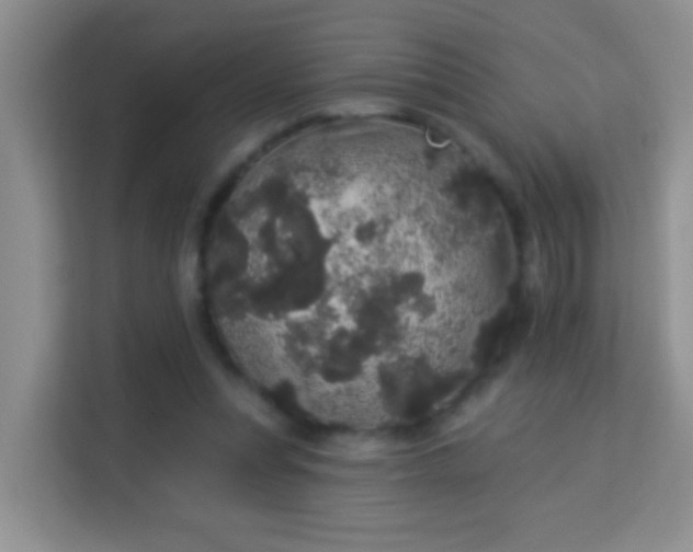 X0000113980351200910091322