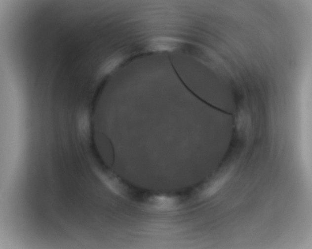 X0000113980352200910091322