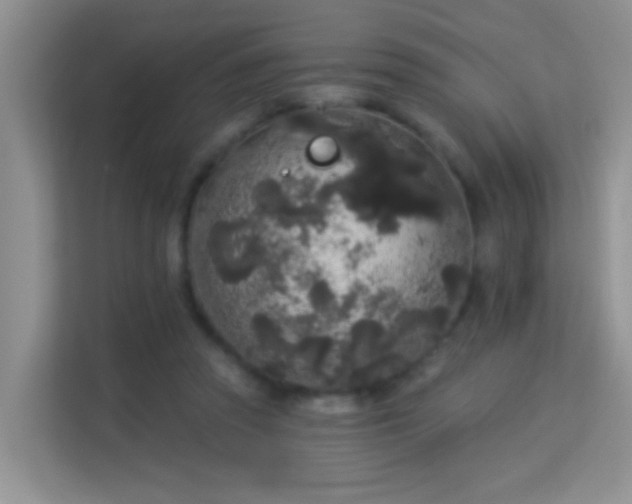 X0000113980353200910091322