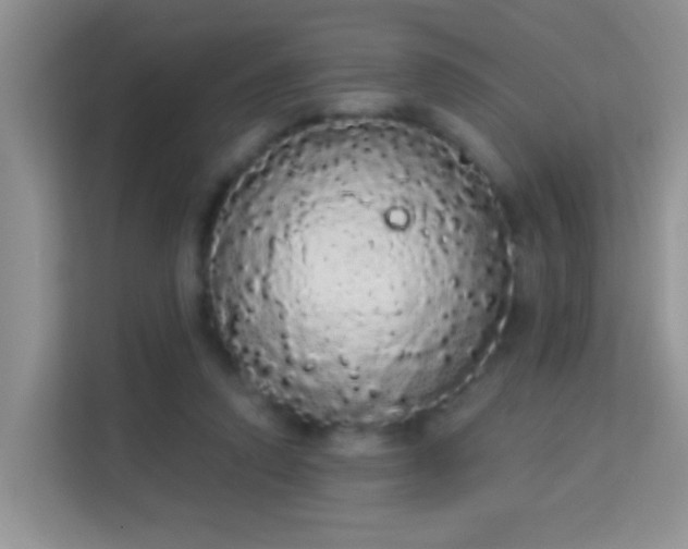 X0000113980354200910091322