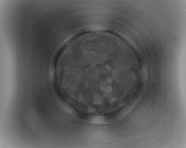 X0000113980355200910091322