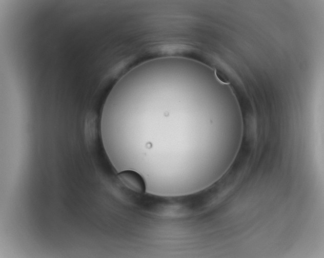 X0000113980356200910091322