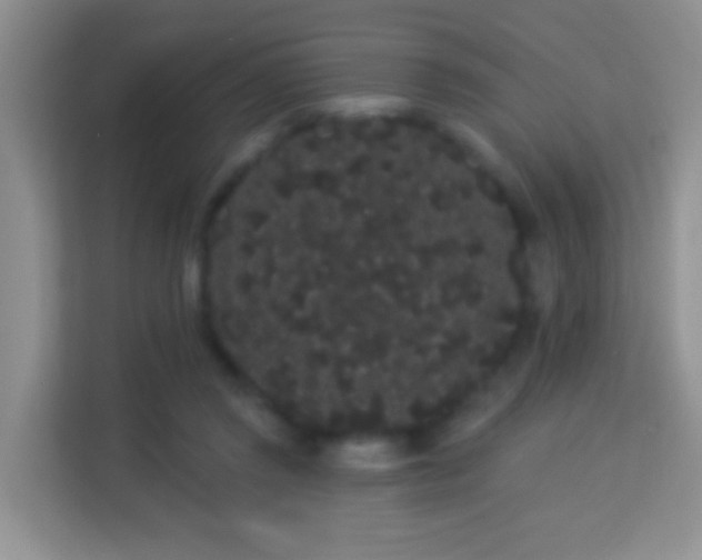 X0000113980357200910091322