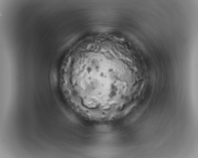 X0000113980358200910091323