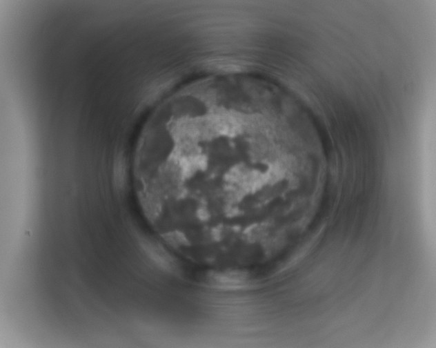 X0000113980359200910091323