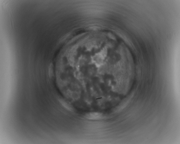 X0000113980361200910091323