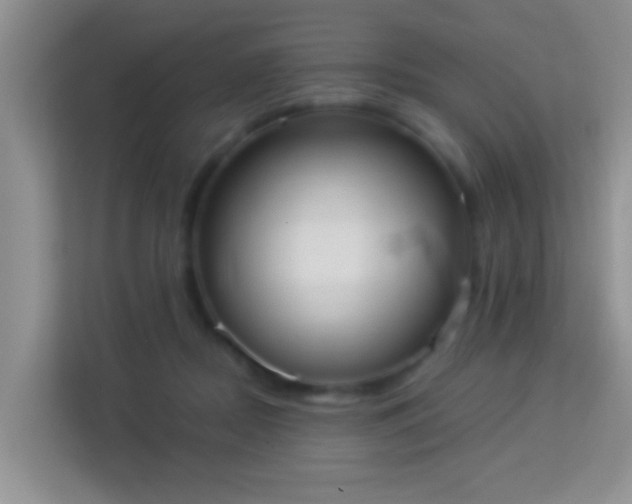 X0000113980362200910091323