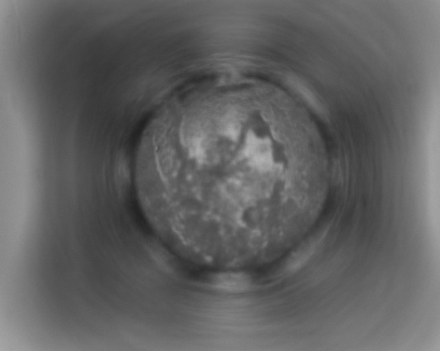 X0000113980363200910091323