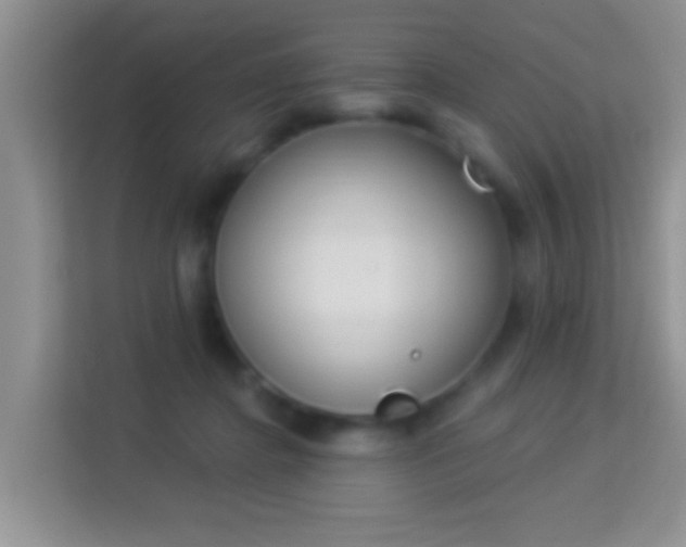 X0000113980364200910091323