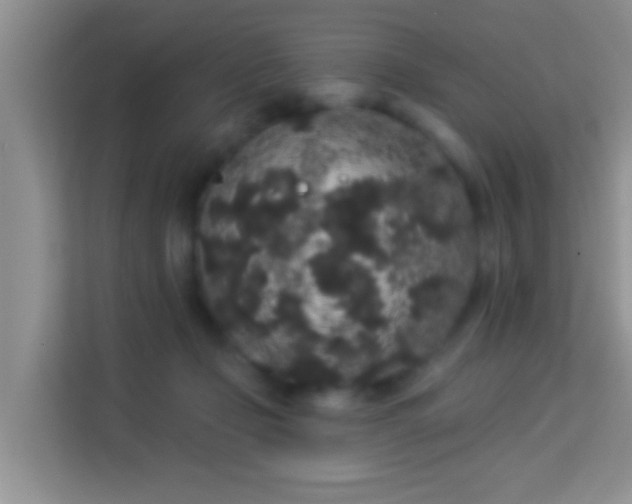 X0000113980365200910091323