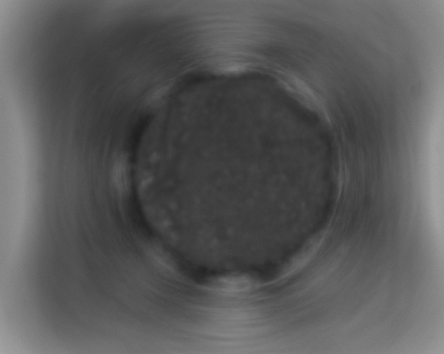 X0000113980366200910091323