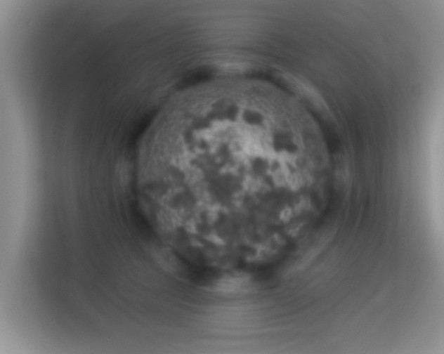 X0000113980369200910091323