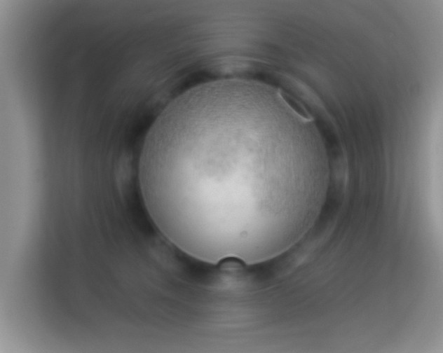 X0000113980372200910091323