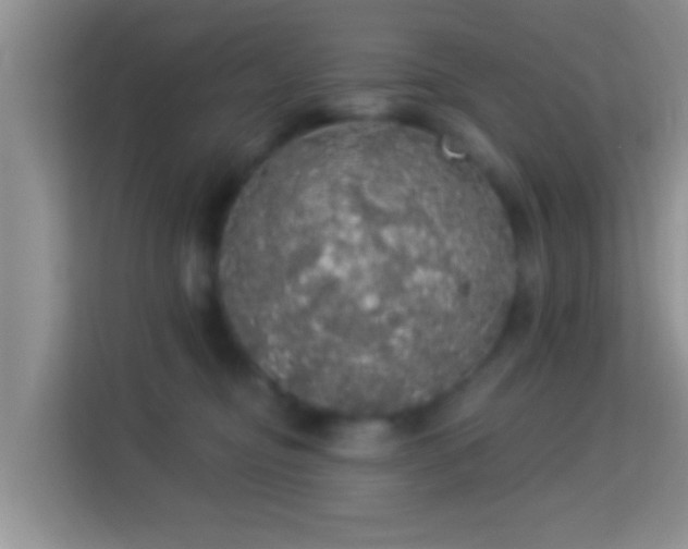 X0000113980374200910091323