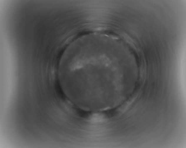 X0000113980376200910091323