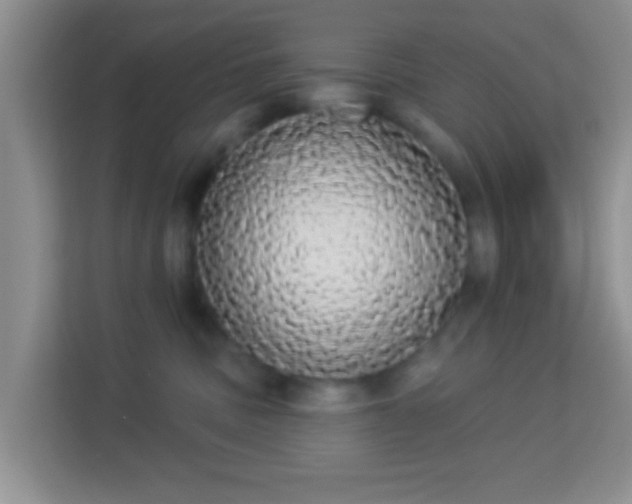 X0000113980379200910091323