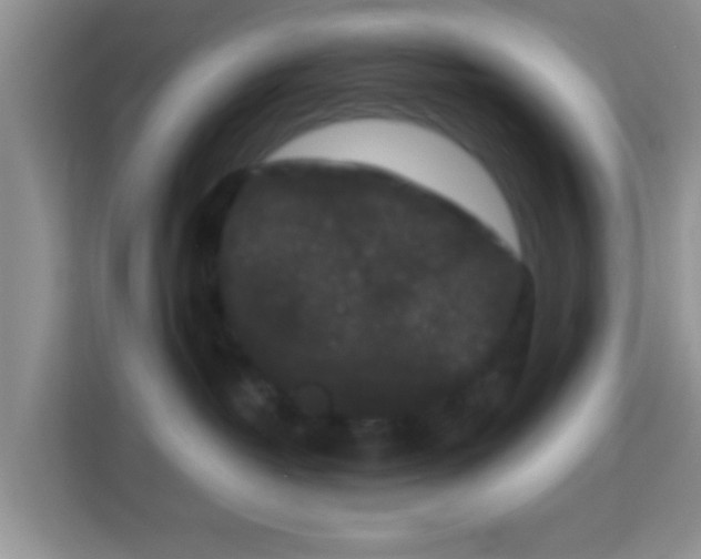 X0000113980382200910091323