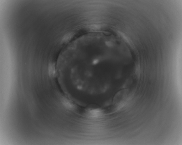 X0000113980383200910091323