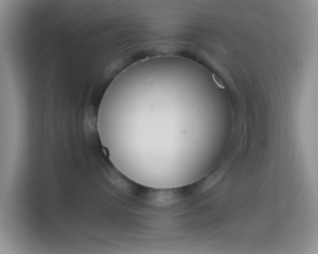 X0000113980384200910091323