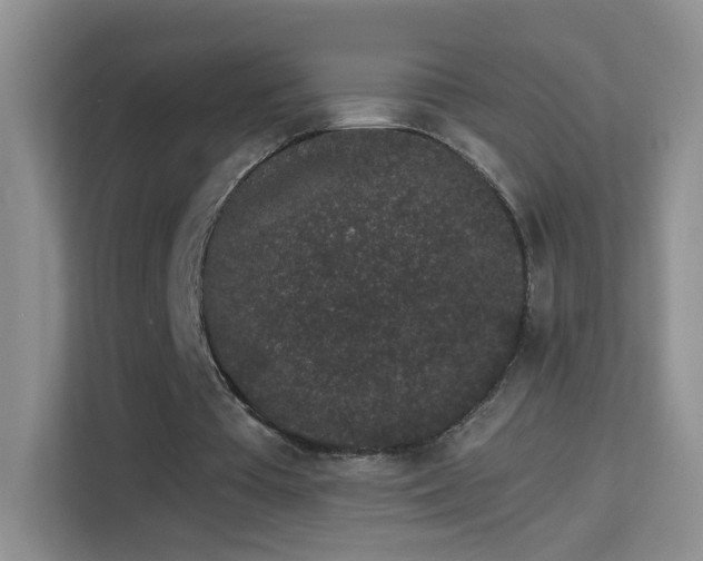 X0000113980385200910091322