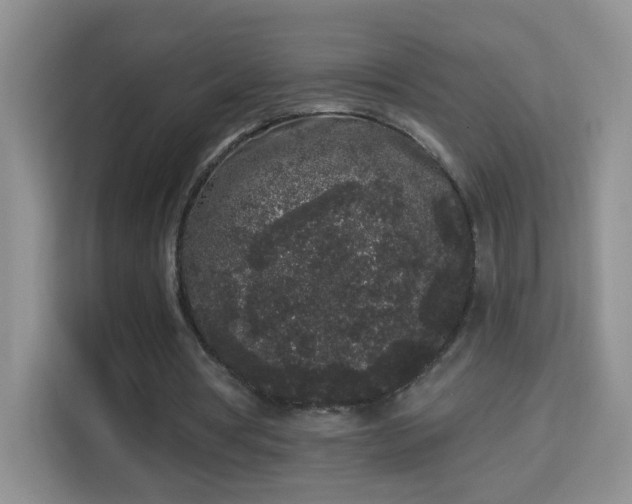 X0000113980386200910091322