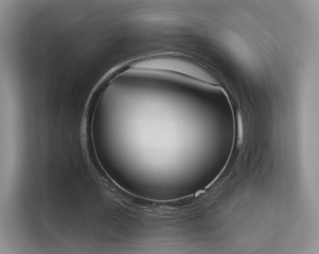 X0000113980387200910091322