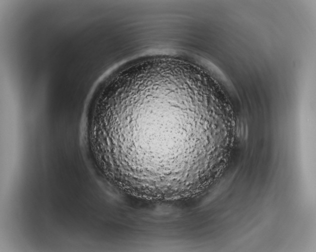 X0000113980388200910091322