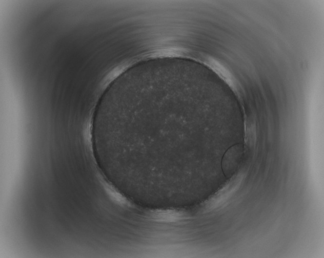 X0000113980389200910091322