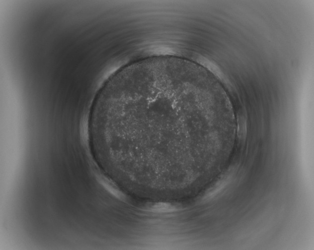 X0000113980390200910091322