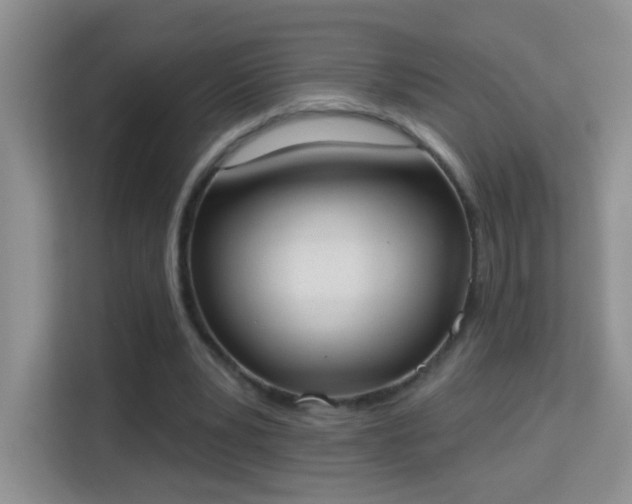 X0000113980391200910091322