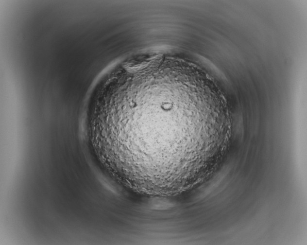 X0000113980392200910091322