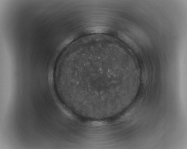 X0000113980394200910091322