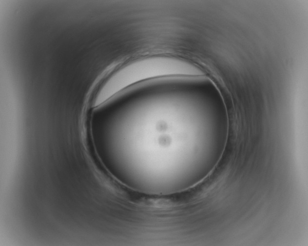 X0000113980395200910091322