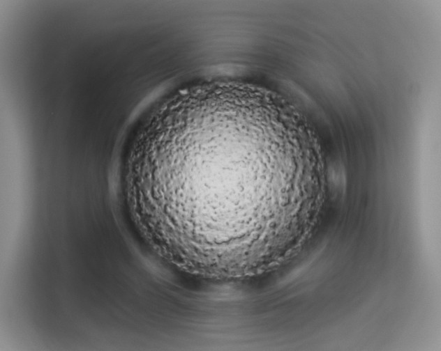 X0000113980396200910091322