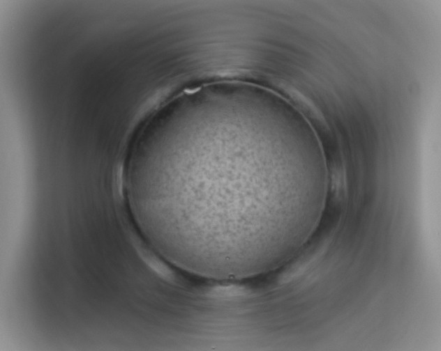 X0000113980397200910091322