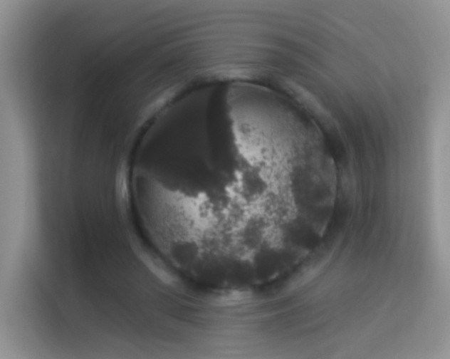 X0000113980398200910091322