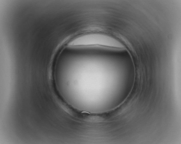 X0000113980399200910091322