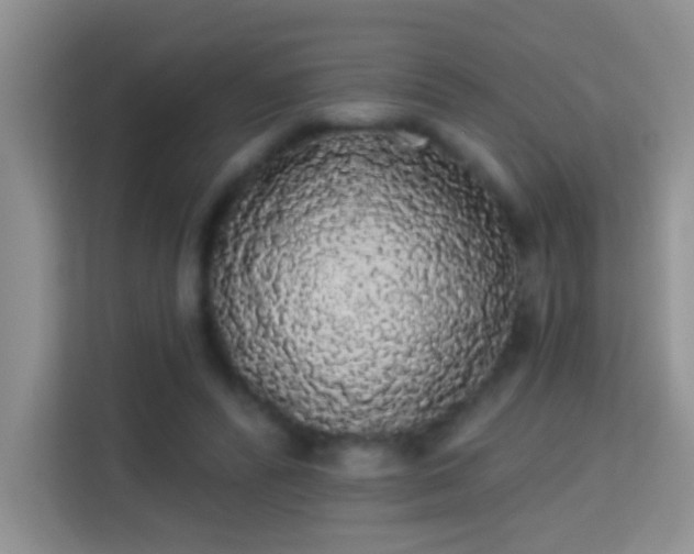 X0000113980400200910091322