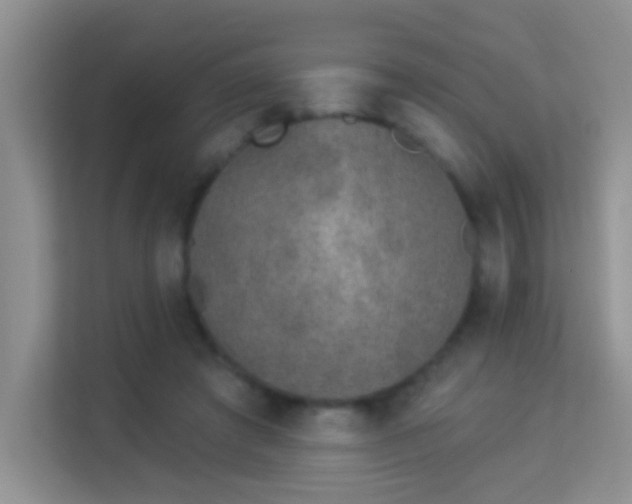 X0000113980401200910091322