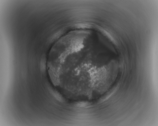 X0000113980402200910091322